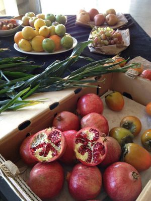 Cope with Politics the Old-Fashioned Way: Drinks!
