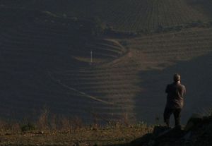 Film Screening and Portuguese Wine Tasting Tomorrow