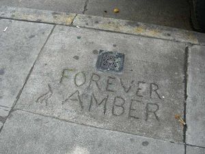 Amber Bar Will Just Be an Ember in 2010