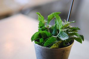 Weekend Parties: Bluxome Block Party, Derby Time