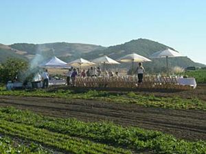 Outstanding in the Field