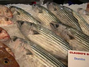 Sustainable Seafood Benefit Dinner