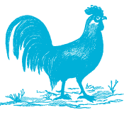 Breakfast by the Bay