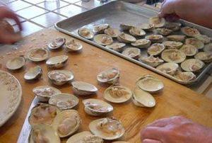 Feast of the Seven Fishes