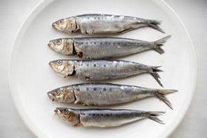 Special September Menus