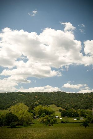 A Fundraiser for Slow Food Solano, with Soul Food Farm and Avedano's