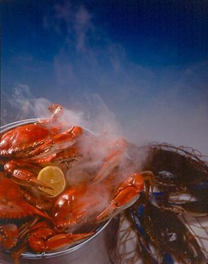 Dine America/Dine Louisiana This Wednesday December 1st