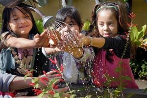 Special Nopa Benefit Dinner for Bay Area Women's & Children's Center