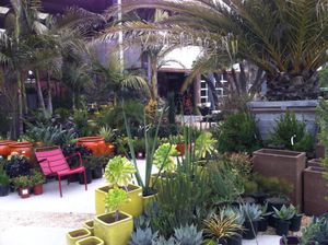 Salute Spring at Flora Grubb Gardens