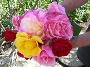 Hey Mama: Mother's Day Is Sunday May 12th