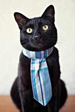 Give Props to Pop This Father's Day