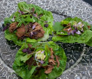 Lamb Jam Comes to Town July 21st