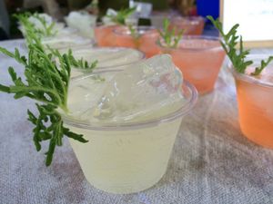 Last Sunset Celebration Weekend Coming June 6th and 7th