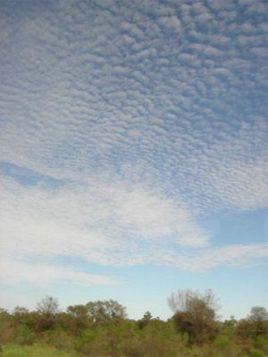 Victorian Bushfire Fundraisers