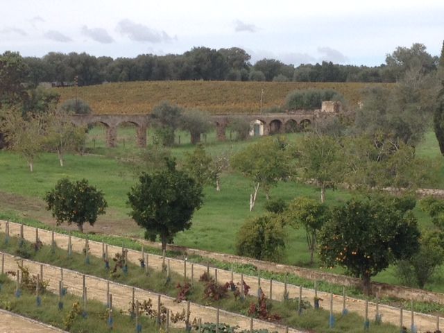 eugenio-landscapeofAlentejo.jpg