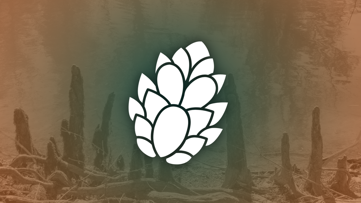 The Longleaf is live