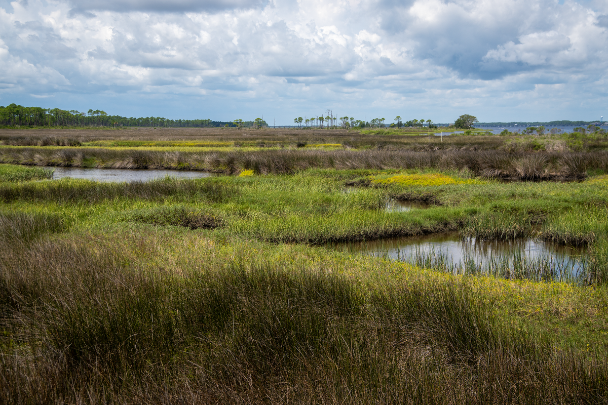 Photos: Bald Point State Park captured in Aug. 2026