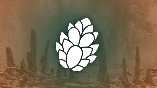 The Longleaf is live