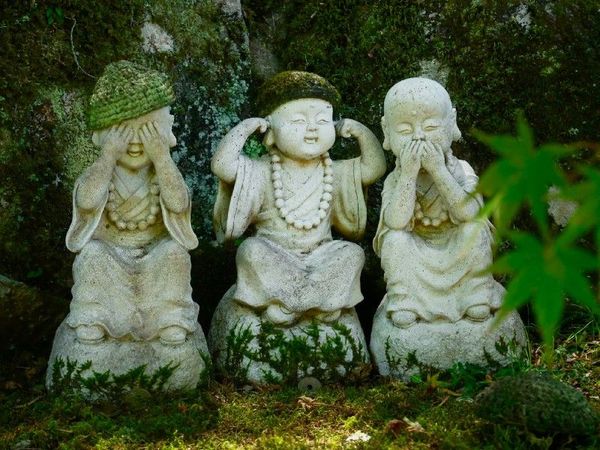 The 48 Best Crypto Websites and Apps That You Need to Know