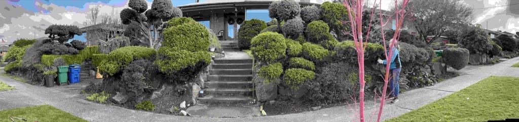 Pasted image 20240205064030