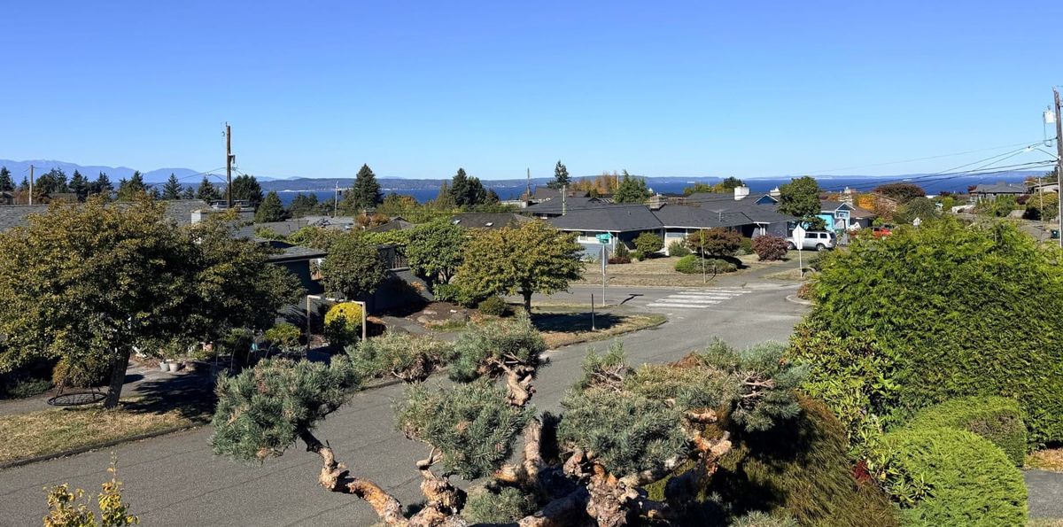 Weather Turning, no faux king way, dinner