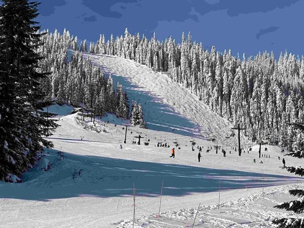 Sking over Martin Luther king holiday weekend