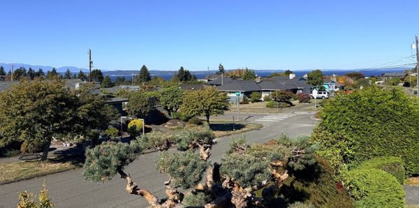 Weather Turning, no faux king way, dinner