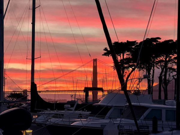 Sailing in San Fransisco Bay