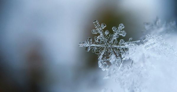 Winter hibernation + an update