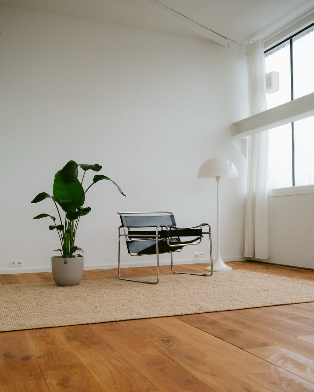 Daglichtstudio huren in Amersfoort
