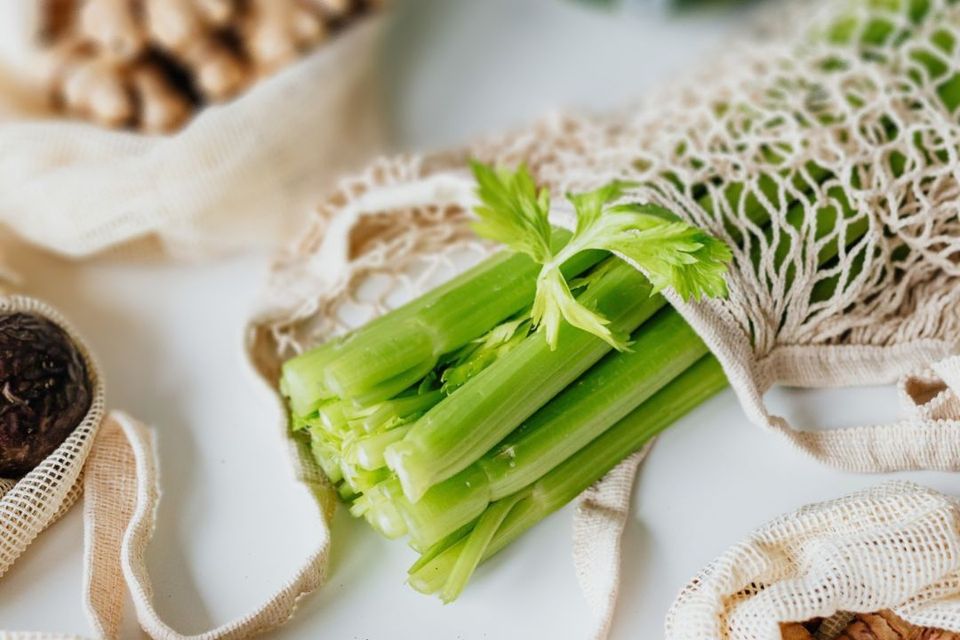 Choosing The Best Juicer for Celery