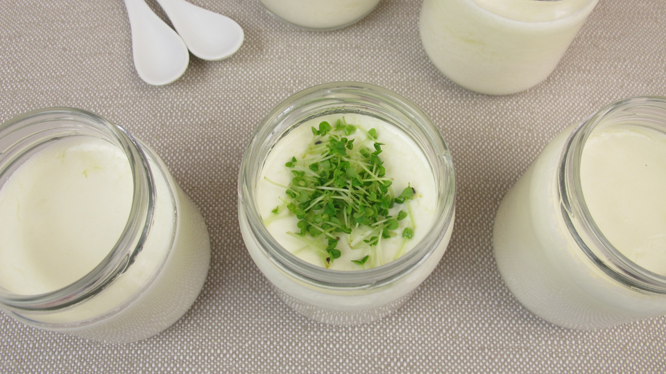 Master Your Kitchen and Try Out the 5 Best Yogurt Makers of 2023