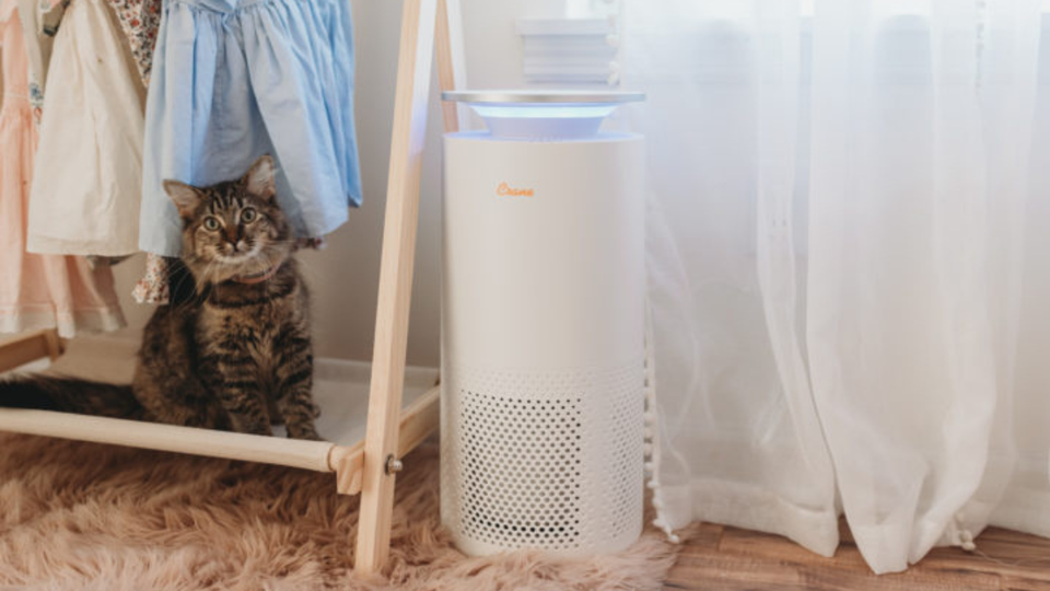 Make Sure Your Child is Breathing in Quality: The Top 5 Best Air Purifiers for Baby