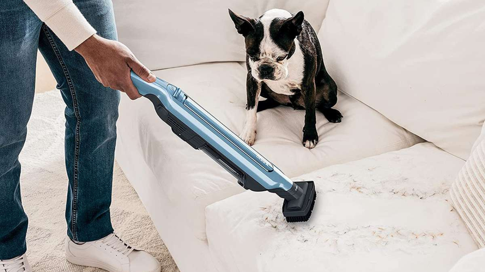 Purr-fect Cleaning at Home! Check These 5 Best Handheld Vacuums for Pet Hair Now!