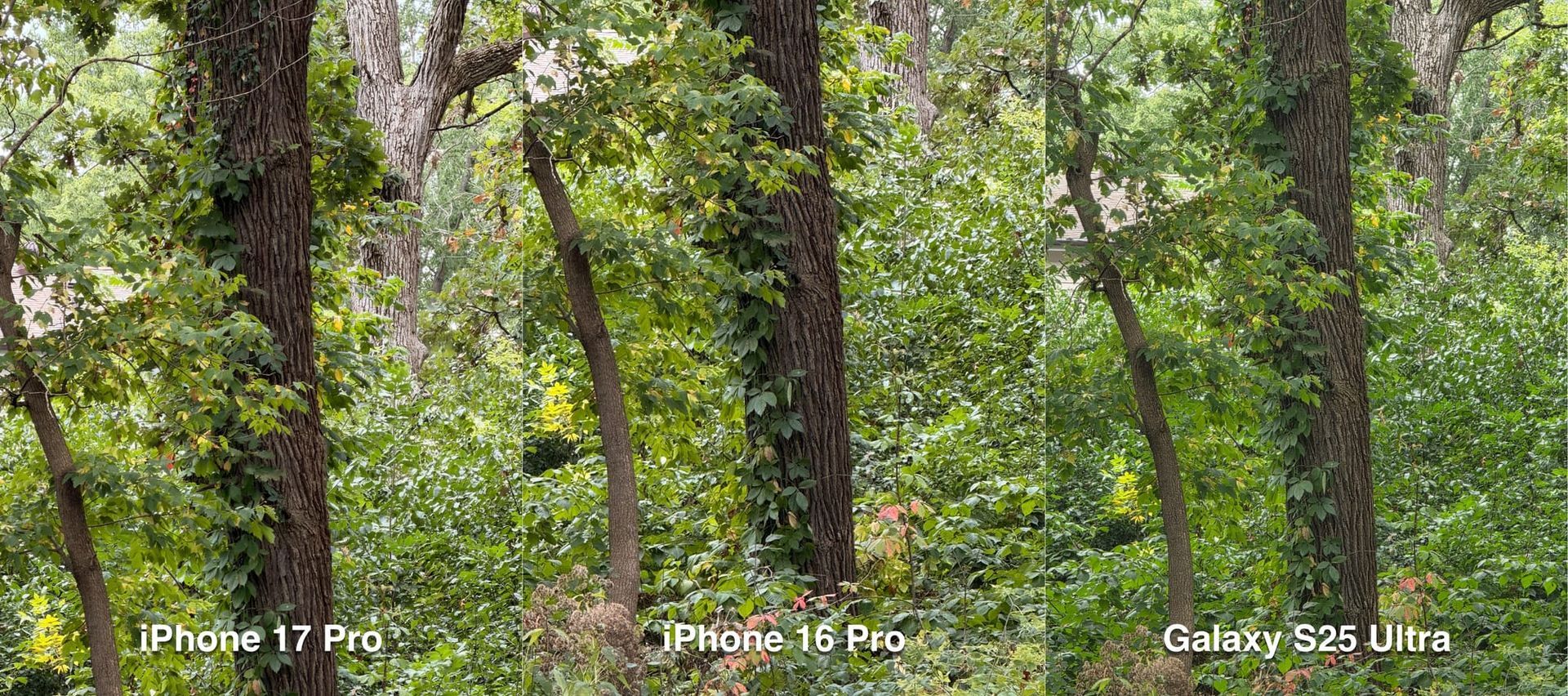 How the iPhone 17 Pro zoom lens compares to the Galaxy S25 and iPhone 16 Pro