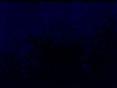 The iPhone 16 camera controversy that wasn't