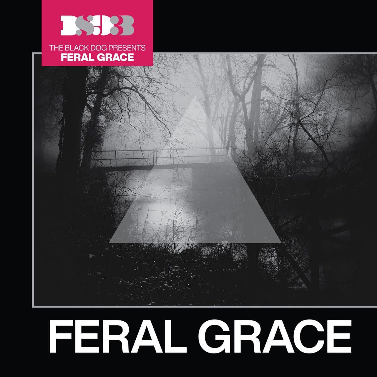The Black Dog Feral Grace