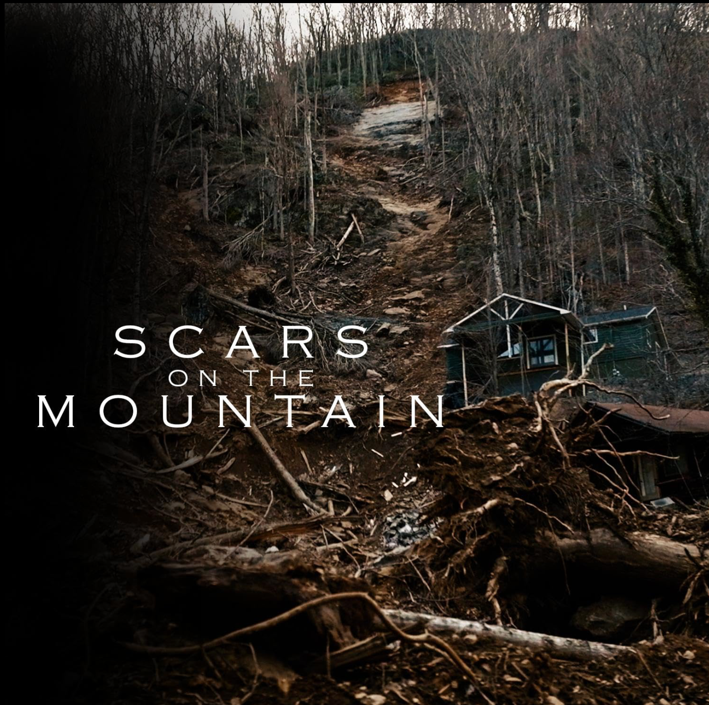 Scars on the Mountain
