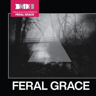 The Black Dog Feral Grace
