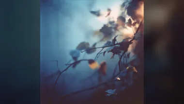 Derrick Stembridge Releases Awake Yet Dreaming