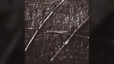 H-M O Releases Into the Forest