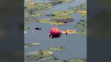 Drifting In Silence Releases Until Then