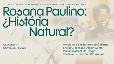Rosana Paulino's ¿História Natural? Opens in New York Today