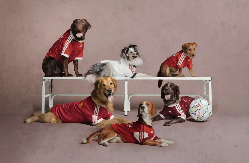 adidas Now Sells Club Jerseys Sized for Dogs and Cats