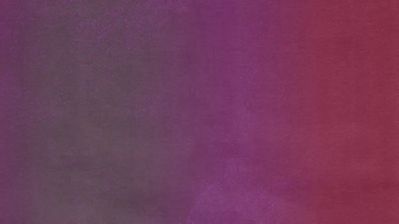 Mexican Summer: A Starter Guide to 8 Essential Albums