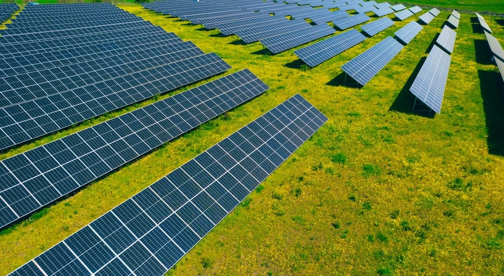 태양광 사업