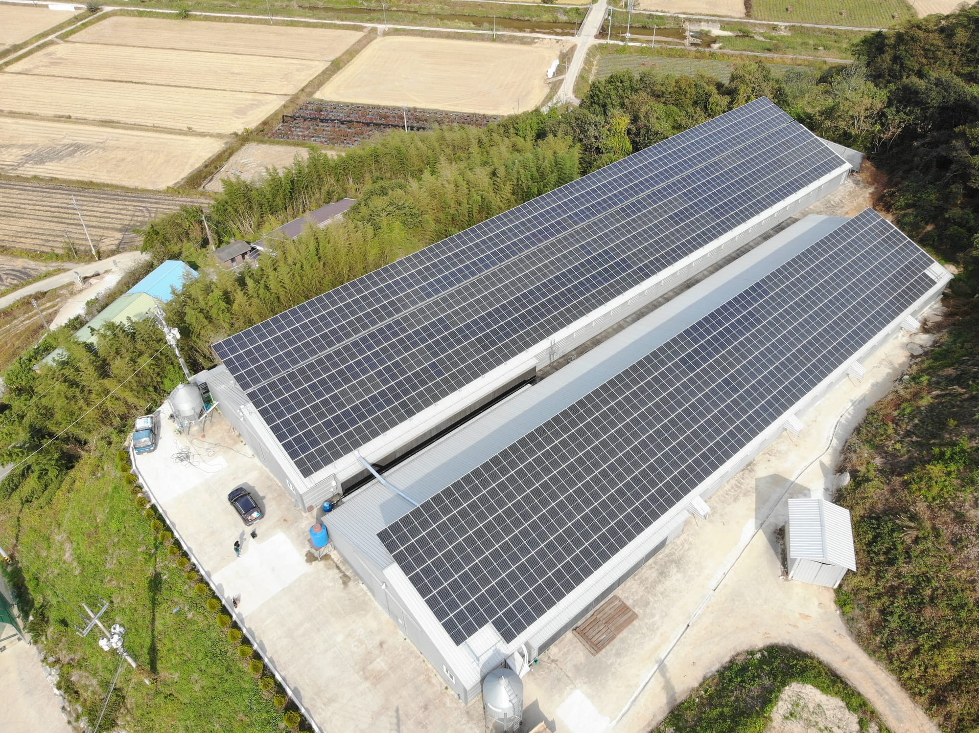 출력제어 과징금