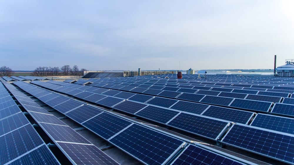 RPS 제도 재생에너지 계약시장