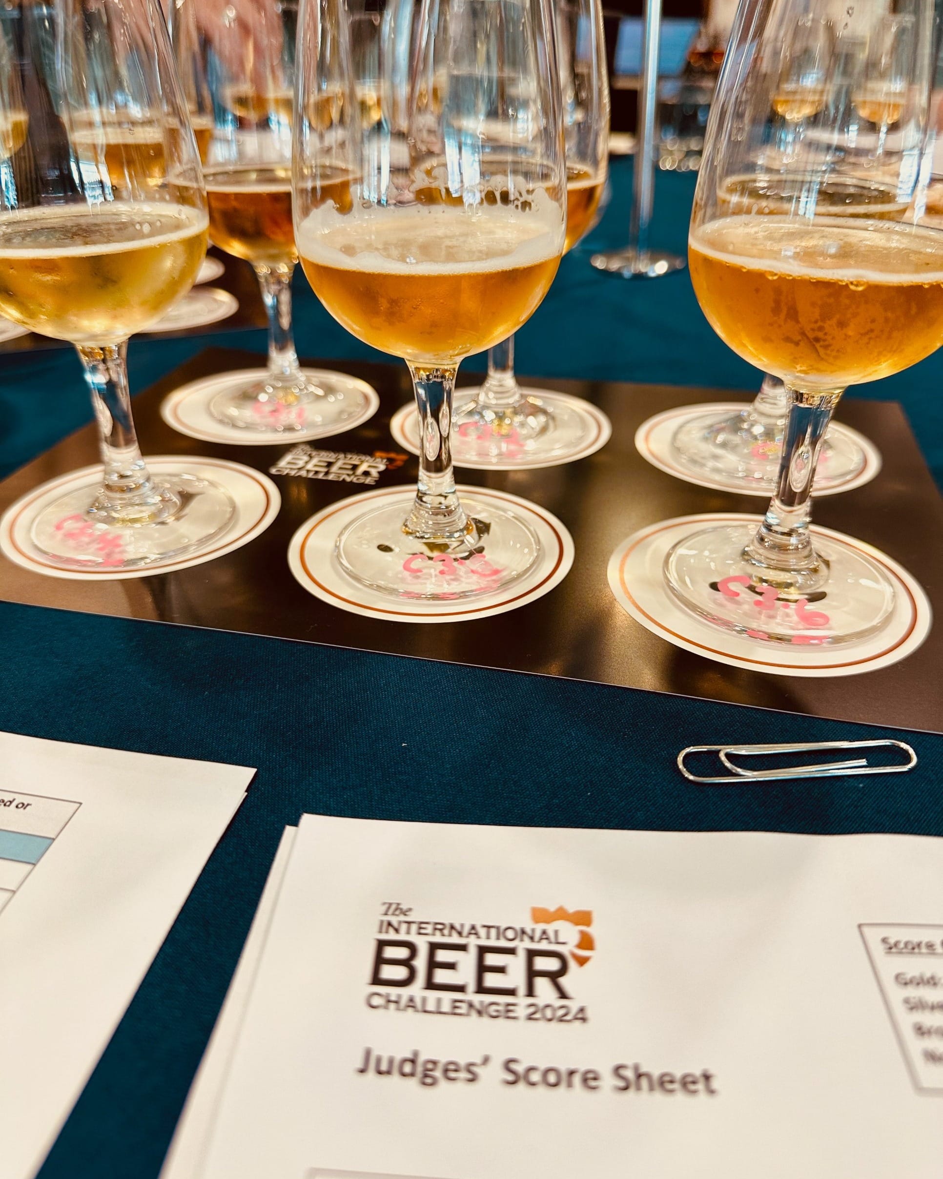 Glasses of golden beer on numbered coasters at a judging table, with an International Beer Challenge 2024 judges’ score sheet in the foreground and its medal key just visible at the edge.