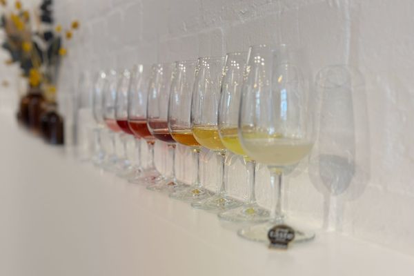 A row of tasting glasses on a long white shelf, shading from pale pink through deep red and amber to gold and almost clear, with dried flowers in the background.